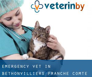 Emergency Vet in Bethonvilliers (Franche-Comté)
