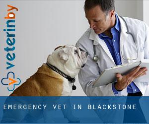 Emergency Vet in Blackstone
