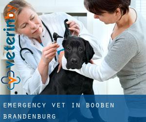 Emergency Vet in Booßen (Brandenburg)