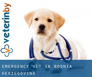Emergency Vet in Bosnia Herzegovina