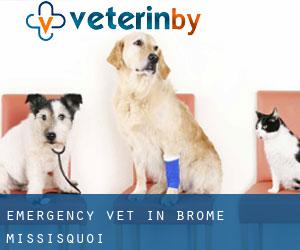 Emergency Vet in Brome-Missisquoi