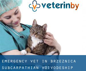 Emergency Vet in Brzeźnica (Subcarpathian Voivodeship)