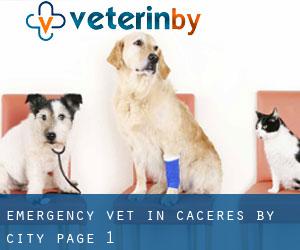 Emergency Vet in Caceres by city - page 1