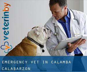 Emergency Vet in Calamba (Calabarzon)