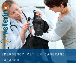 Emergency Vet in Camerano Casasco