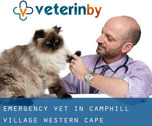 Emergency Vet in Camphill Village (Western Cape)