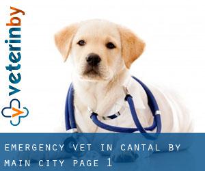 Emergency Vet in Cantal by main city - page 1