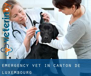 Emergency Vet in Canton de Luxembourg