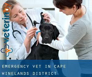 Emergency Vet in Cape Winelands District Municipality by city - page 1
