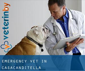 Emergency Vet in Casacanditella