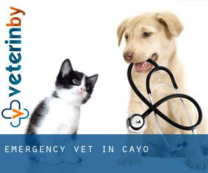 Emergency Vet in Cayo