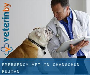 Emergency Vet in Changchun (Fujian)