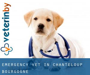Emergency Vet in Chanteloup (Bourgogne)