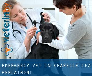 Emergency Vet in Chapelle-lez-Herlaimont