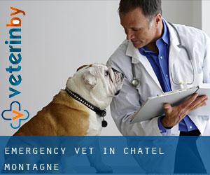 Emergency Vet in Châtel-Montagne