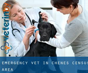 Emergency Vet in Chênes (census area)