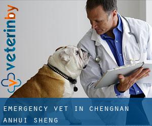 Emergency Vet in Chengnan (Anhui Sheng)