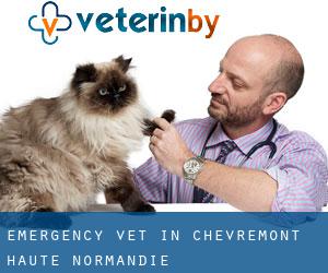 Emergency Vet in Chèvremont (Haute-Normandie)