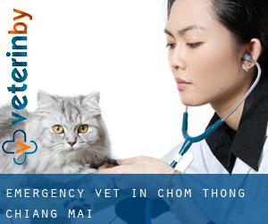Emergency Vet in Chom Thong (Chiang Mai)