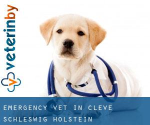 Emergency Vet in Cleve (Schleswig-Holstein)