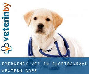 Emergency Vet in Cloeteskraal (Western Cape)