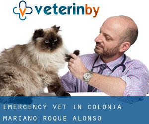 Emergency Vet in Colonia Mariano Roque Alonso