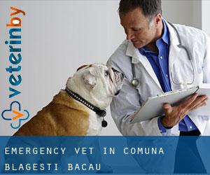 Emergency Vet in Comuna Blăgeşti (Bacău)