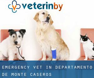 Emergency Vet in Departamento de Monte Caseros