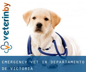 Emergency Vet in Departamento de Victoria