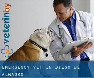 Emergency Vet in Diego de Almagro