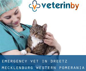 Emergency Vet in Dreetz (Mecklenburg-Western Pomerania)