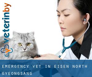 Emergency Vet in Eisen (North Gyeongsang)
