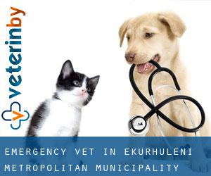 Emergency Vet in Ekurhuleni Metropolitan Municipality