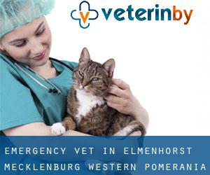 Emergency Vet in Elmenhorst (Mecklenburg-Western Pomerania)