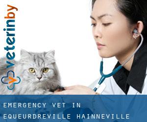 Emergency Vet in Équeurdreville-Hainneville