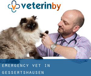 Emergency Vet in Gessertshausen