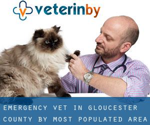 Emergency Vet in Gloucester County by most populated area - page 1