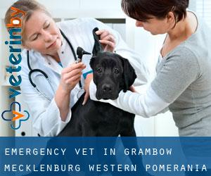 Emergency Vet in Grambow (Mecklenburg-Western Pomerania)