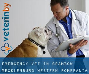Emergency Vet in Grambow (Mecklenburg-Western Pomerania)
