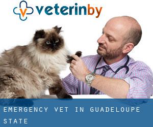 Emergency Vet in Guadeloupe (State)