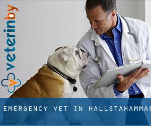 Emergency Vet in Hallstahammar