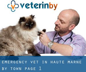 Emergency Vet in Haute-Marne by town - page 1