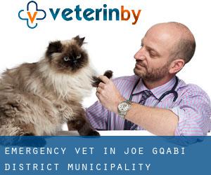Emergency Vet in Joe Gqabi District Municipality