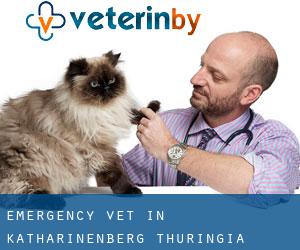 Emergency Vet in Katharinenberg (Thuringia)