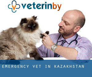 Emergency Vet in Kazakhstan