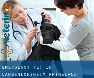 Emergency Vet in Langenlonsheim (Rhineland-Palatinate)