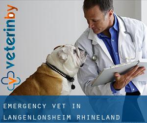 Emergency Vet in Langenlonsheim (Rhineland-Palatinate)
