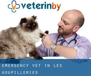 Emergency Vet in Les Goupilleries