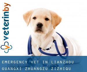 Emergency Vet in Lianzhou (Guangxi Zhuangzu Zizhiqu) Emergency Vet in Lianzhou (Guangxi Zhuangzu Zizhiqu)