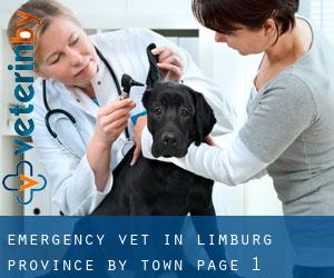 Emergency Vet in Limburg Province by town - page 1